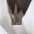 レノ LENO MOHAIR CARDIGAN メンズ JPN:2
