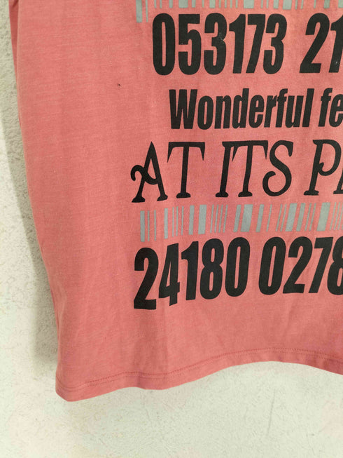 Possibly Good Y2K メッセージ チビT レディース JPN:M