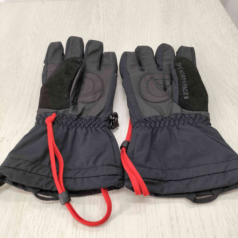 ザノースフェイス THE NORTH FACE Alta snow glove アルタスノーグローブ メンズ S