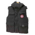 カナダグース CANADA GOOSE HUDSON ダウンベスト メンズ import:M