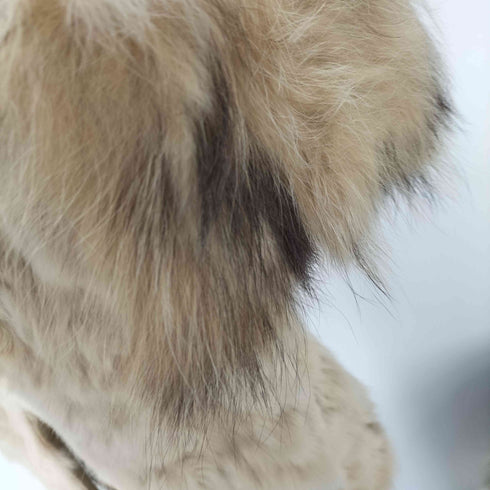 Raccoon & Rabbit Real FOX Fur 100% Mouton Long Coat ラクーン ラビット フォックス リアルファー 100% ムートン ロング コート レディース import:M