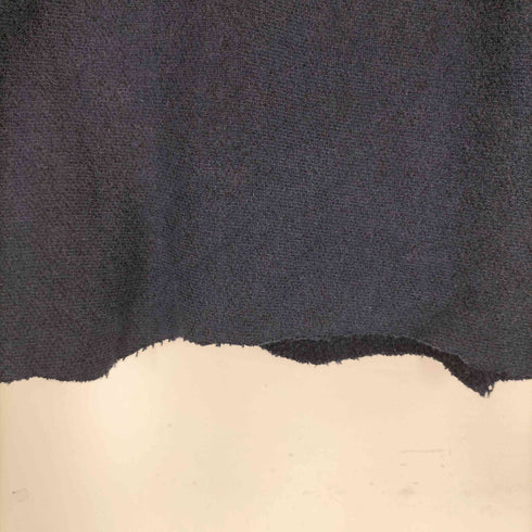 チャンピオン Champion PREMIUM REVERSE WEAVE 刺繍 クロップドスウェット メンズ import:M