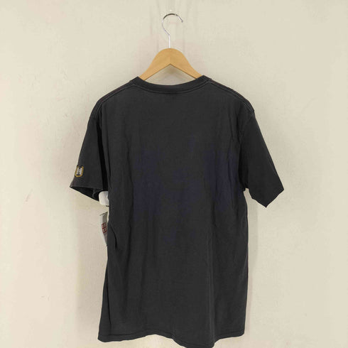 タルテックス TULTEX 90S シングルステッチ ARIZONA プリントTシャツ メンズ import:L