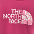 ザノースフェイス THE NORTH FACE S/S GTD Logo Crew ショートスリーブGTDロゴクルー レディース JPN:M