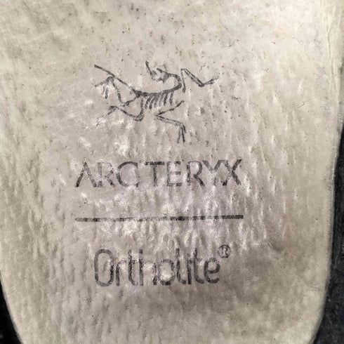 アークテリクス ARCTERYX ARAKYS Approach Shoe メンズ JPN:27.5