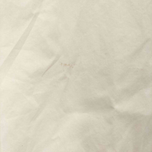 アニエスベーオム Agnes b.homme トカゲししゅう シャツ レディース 36