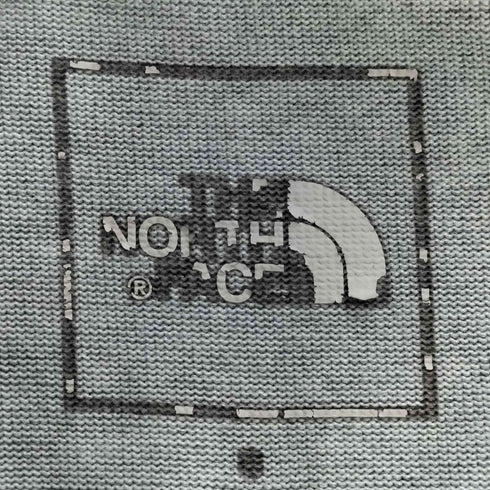 ザノースフェイス THE NORTH FACE S/S Historical Logo Tee ショートスリーブ ヒストリカルロゴティー メンズ import:S