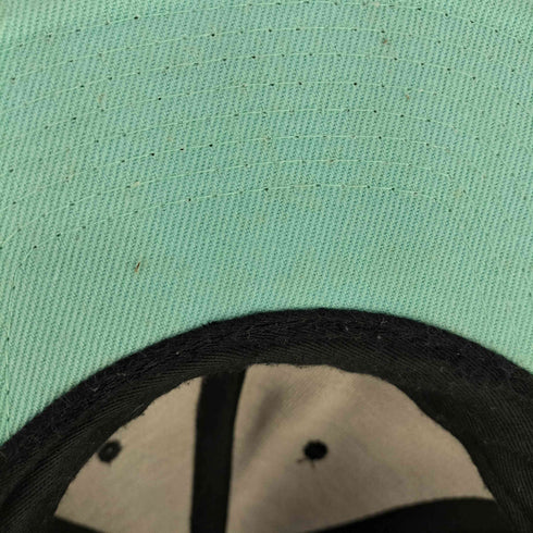 ステューシー Stussy The Natural Snapback ツートン キャップ メンズ