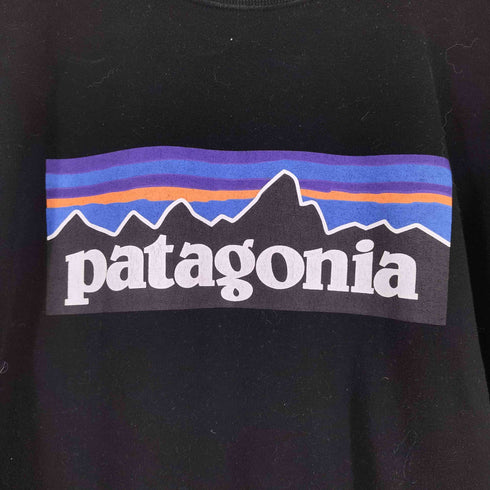パタゴニア patagonia ロゴプリントカットソー メンズ