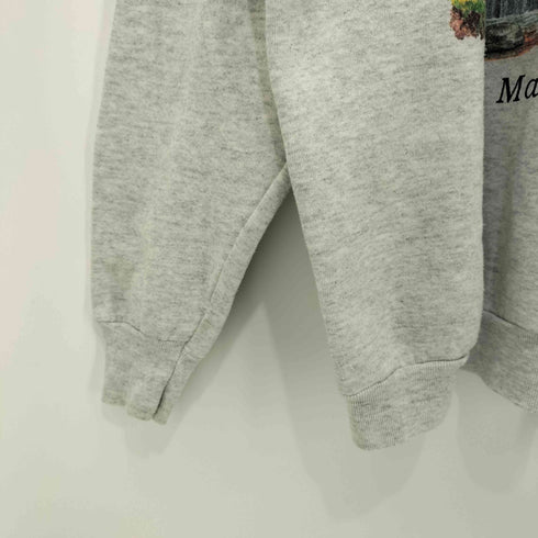 フルーツオブザルーム FRUIT OF THE LOOM 90s USA製 Maine ラグラン クルーネックスウェット メンズ import:XL