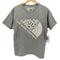 ザノースフェイス THE NORTH FACE JUMBO LOGO TEE ジャンボ ロゴ Tシャツ メンズ import:S