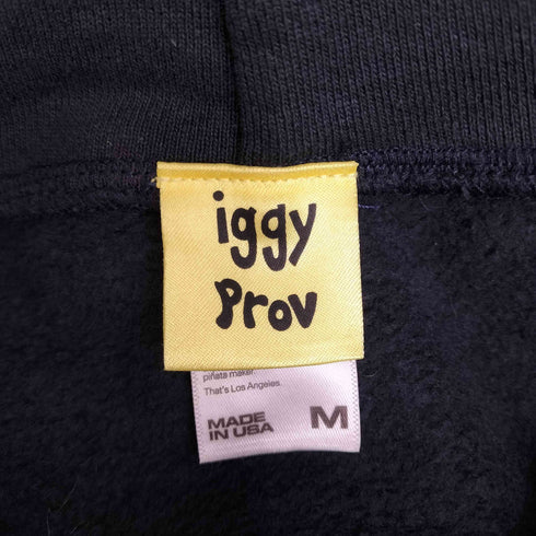 イギーニューヨーク iggy NYC ×PROV フロントプリントプルオーバーパーカー メンズ M