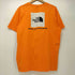 ザノースフェイス THE NORTH FACE 25SS BOX NSE TEE ボックスロゴ プリント Tシャツ メンズ import:L