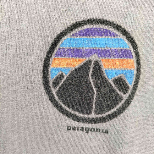 パタゴニア patagonia 両面プリントロゴ クルーネックTシャツ メンズ L