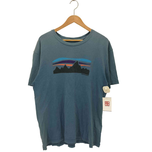 パタゴニア patagonia USA製 プリントロゴ クルーネックTシャツ メンズ L