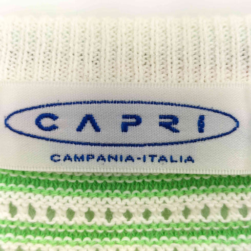 CAPRI マルチカラー ボーダー ニット メンズ 52