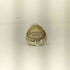 グラッドハンド GLADHAND INSIGNIA PINKIE RING シルバー925製 ピンキーリング メンズ 11