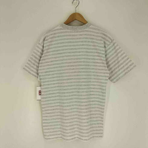 Prairie mountain USA製 シングルステッチ ALASKA ボーダーTシャツ メンズ import:L
