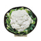 アンダーカバー UNDERCOVER 25SS 転写ポーチ Cauliflower レディース