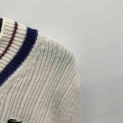 ラコステ LACOSTE Vネックリブニット チルデンセーター メンズ 5