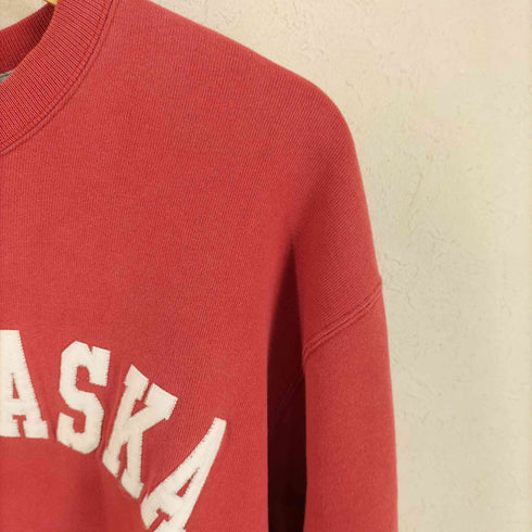 チャンピオン Champion 90S メキシコ製 カントリーロゴスウェット メンズ import:L