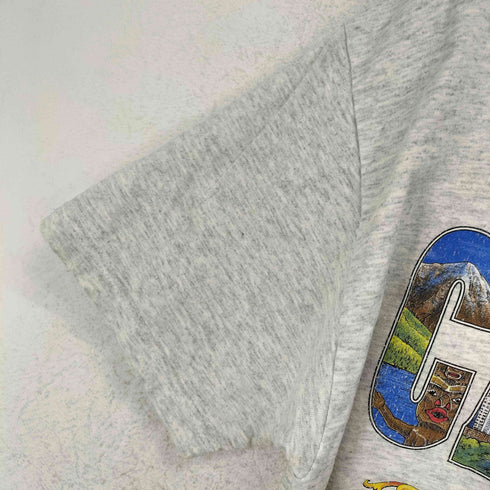 アルスタイルアパレルアクティブウェアー ALSTYLE APPAREL & ACTIVEWEAR フロントプリントTシャツ メンズ JPN:L
