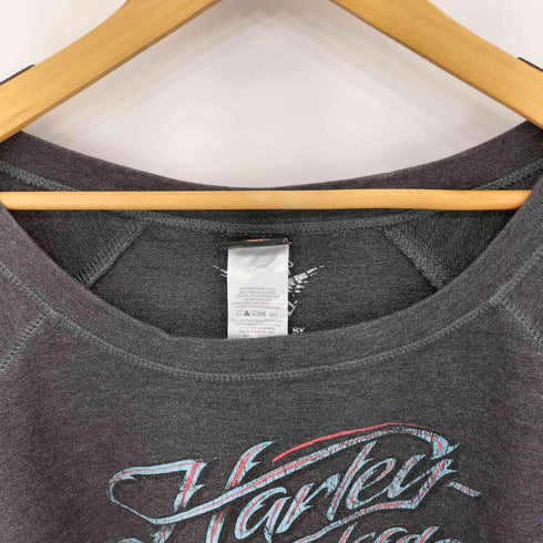ハーレーダビッドソン HARLEY-DAVIDSON 両面プリント クルーネックロンT メンズ