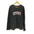ステューシー Stussy カレッジロゴ クルーネック L/S Tシャツ ロンT メンズ import:L
