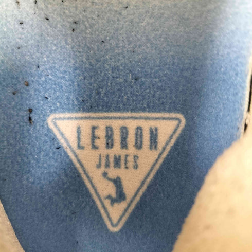 ナイキ NIKE LeBron 17 Low メンズ US:12
