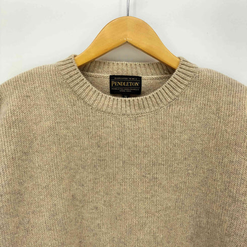 ペンドルトン PENDLETON ネイティブ 柄 クルーネック ニット メンズ import:M