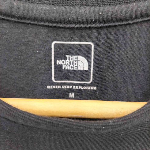 ザノースフェイス THE NORTH FACE パノラミックビスタ Tシャツ メンズ M