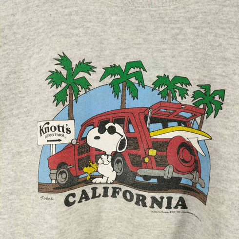 タルテックス TULTEX 90S USA製 キャラクタープリント スウェット メンズ import:XL