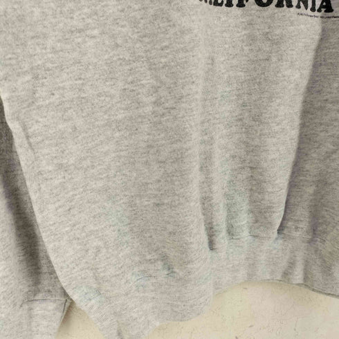 タルテックス TULTEX 90S USA製 キャラクタープリント スウェット メンズ import:XL