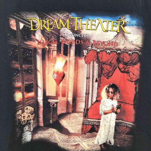 ギルダン GILDAN メタルバンドプリント クルーネック Tシャツ メンズ