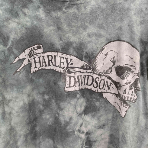 ハーレーダビッドソン HARLEY-DAVIDSON タイダイ柄 イラストプリント クルーネックTシャツ メンズ