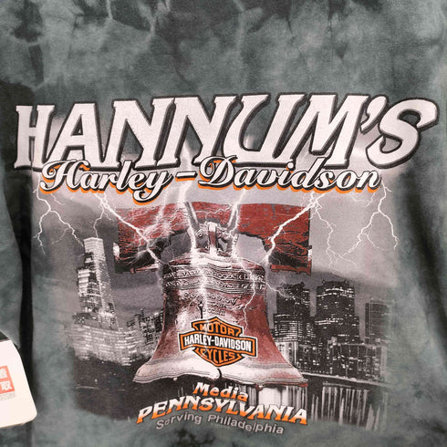 ハーレーダビッドソン HARLEY-DAVIDSON タイダイ柄 イラストプリント クルーネックTシャツ メンズ