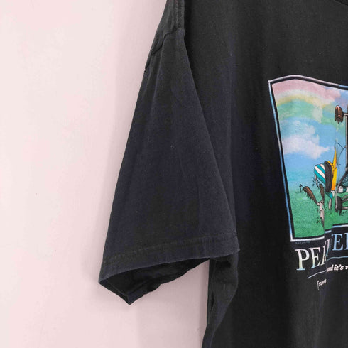 デルタプロウェイト DELTA PRO WEIGHT 00s クルーネック キャラクタープリント 半袖 Tシャツ メンズ import:XL