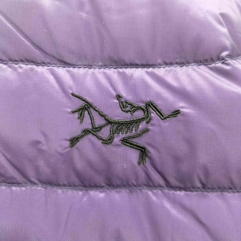 アークテリクス ARCTERYX 25AW Cerium Hoody セリウム フーディ ダウン ジャケット メンズ import:S