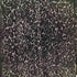 CAROL HORN シースルー ベロア 花柄 シャツ レディース import:L