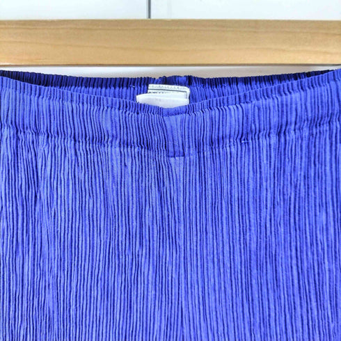 イッセイミヤケフェット ISSEY MIYAKE FETE 15SS ワイドプリーツパンツ レディース JPN:3