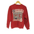 タルテックス TULTEX nebraska huskers プリント スウェット メンズ import:L