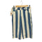 リーバイス Levis silverTab CARPENTER ストライプ デニムショーツ メンズ US:28-29