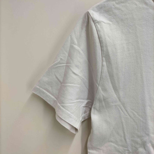 ポロラルフローレン POLO RALPH LAUREN ポニー刺繍ロゴ Tシャツ メンズ L