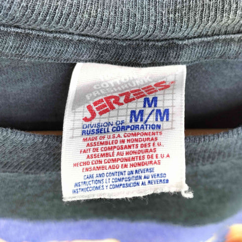 90S USA製 JERZEESボディ US ミュージシャン グラフィック プリント クルーネック S/S Tシャツ メンズ import:M