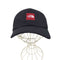 ザノースフェイス THE NORTH FACE SQUARE LOGO CAP メンズ FREE