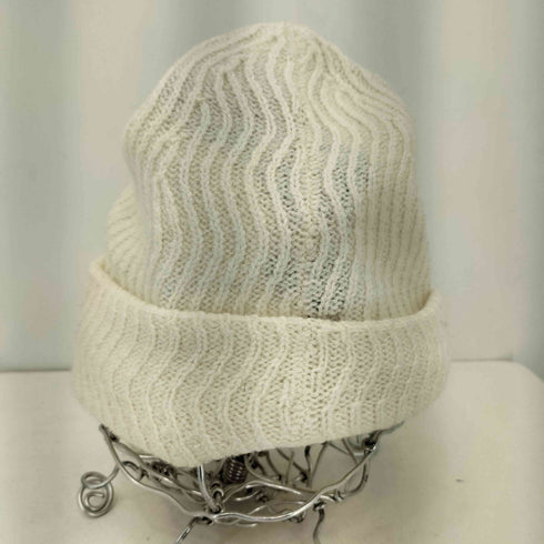 オールバーズ ALLBIRDS デザイン ニット帽 メンズ