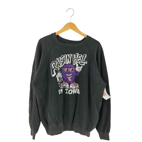 ヘインズ Hanes 80S USA製 RAISIN HELL プリント ラグラン スウェット メンズ XL