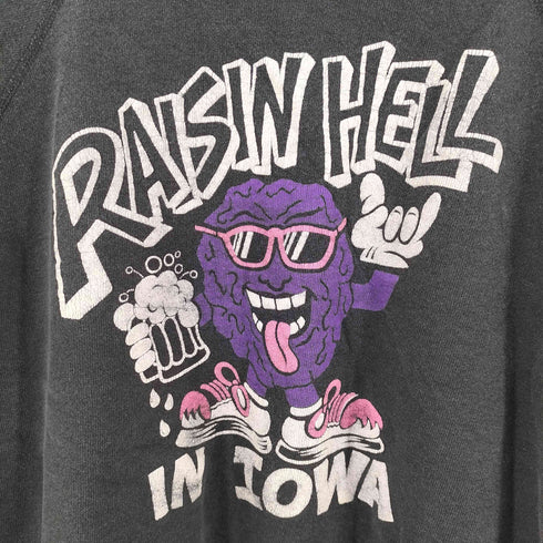 ヘインズ Hanes 80S USA製 RAISIN HELL プリント ラグラン スウェット メンズ XL
