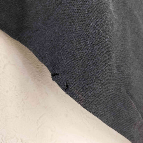 ヘインズ Hanes 80S USA製 RAISIN HELL プリント ラグラン スウェット メンズ XL