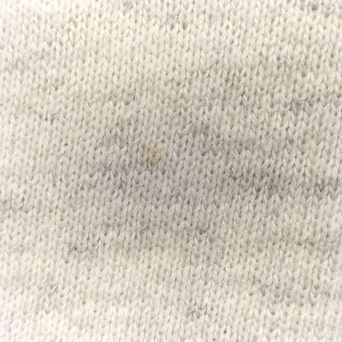 DISPORT USA エンブレムプリント クルーネックスウェット メンズ import:M